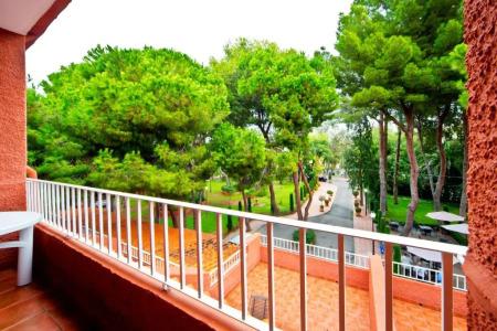 Intelier Bonaire - 50