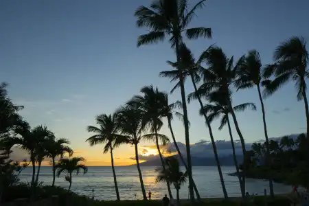 Napili Kai Beach Resort - 13
