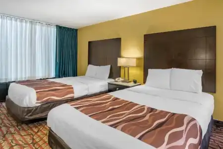 Rodeway Inn Clearwater - Central - 65