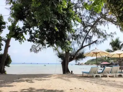 Assava Dive Resort - 96
