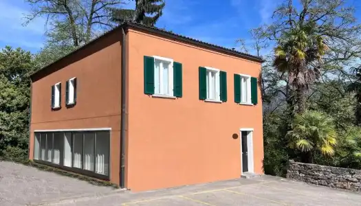 Monte Verità - 30
