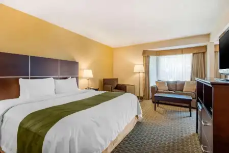Quality Inn & Suites - 49