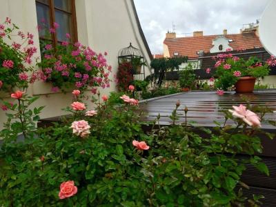 Old Town Boutique Apartments - 16