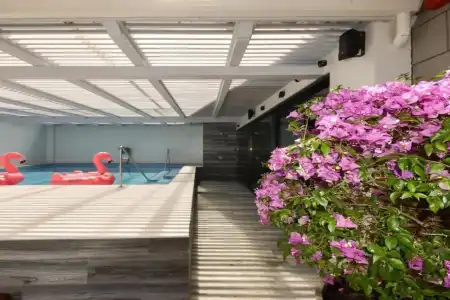 Flamingo - 14