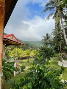 Cay Sao Phu Quoc - 15