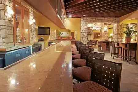 Holiday Inn Houston Intercontinental Airport by IHG - 28
