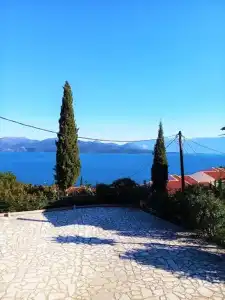 Vergina Star - 150