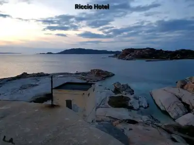 Riccio - 12