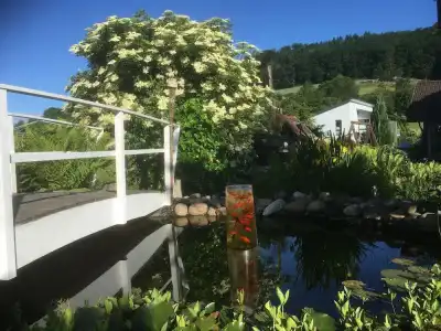 Höxter Am Jakobsweg - 35