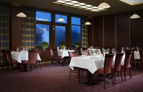 Orea Resort Sklář Harrachov - 18