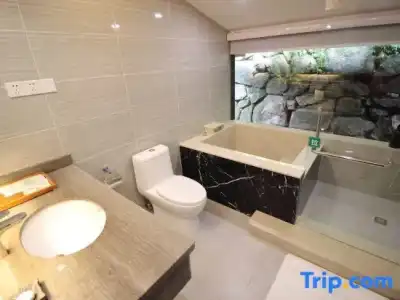 Shenzhen Evergreen Resort - 61