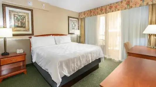 Holiday Inn & Suites Clearwater Beach by IHG - 110