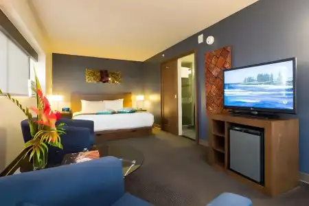 Vive Waikiki - 48
