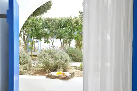 Mediterranean - 71