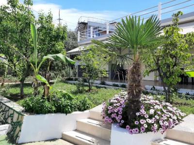 Yard Paradise - 39