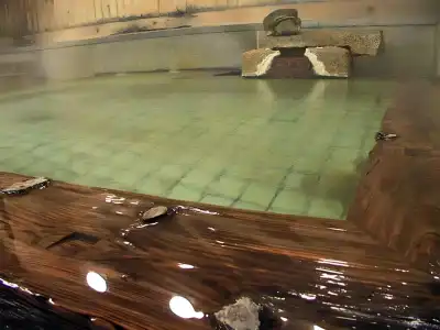 Shibu Onsen Yumoto Ryokan - 29