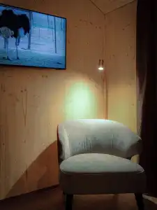 Cubilaris Motel Bad Ragaz - 46
