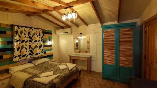 Shams & Dive Centre - 74