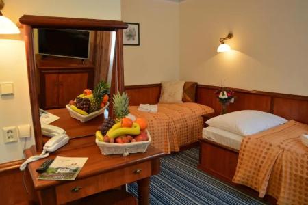 Spa & Wellness Harmonie - 36