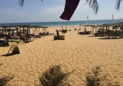 International Beach and Restaurant - 14