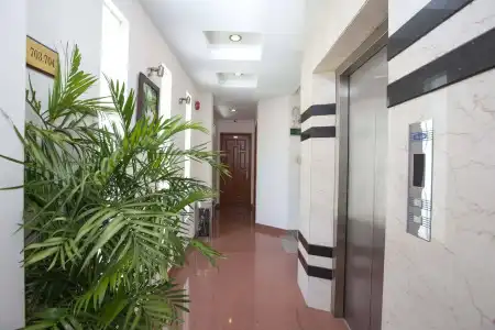Hồng Hạc - 15