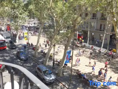 Lloret Ramblas - 108