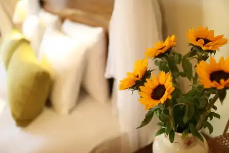 Thanh Kieu Beach Resort - 137