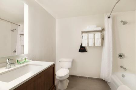 Holiday Inn Houston Intercontinental Airport by IHG - 7
