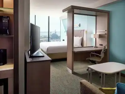 Springhill Suites San Diego Downtown/Bayfront - 69