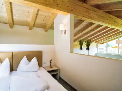 AlpenParks Chalet & Apartment AreitXpress - 2