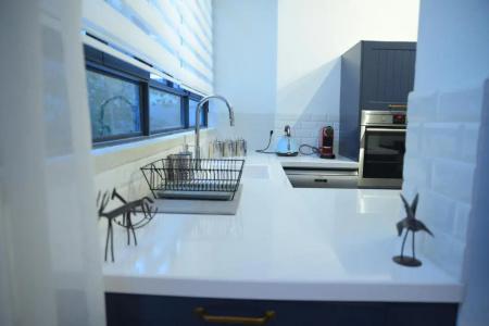 Reines5 TLV - 38