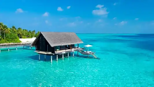 One&Only Reethi Rah Resort - 36