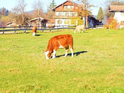 Alpenhof - 22