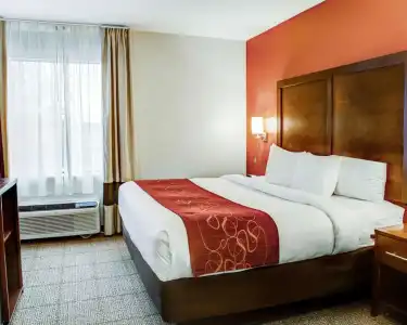 Comfort Suites Tyler South - 55