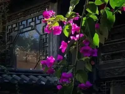 Lijiang Ten Courtyard Inn - 7