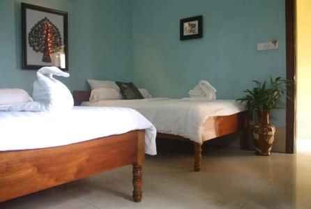 The Magic Sponge - 2