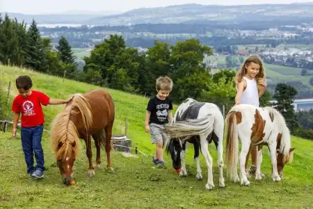 Sonnenberg - 15