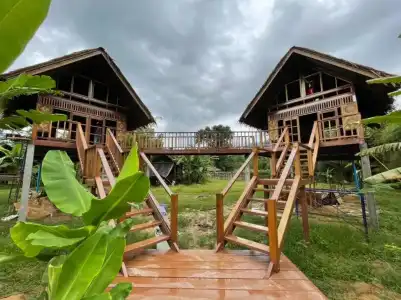 Our Jungle Camp - Eco Resort - 13