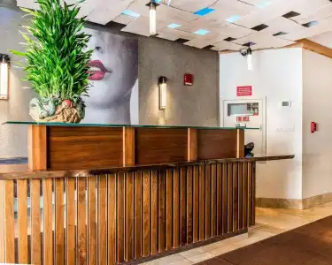The Solita Soho - 1