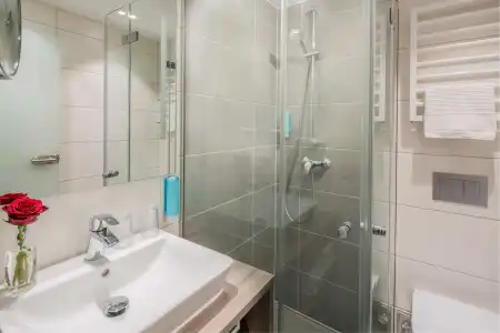 Best Western Plus Regence - 9