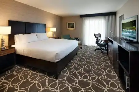 Hilton Garden Inn Marina Del Rey - 58