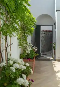 Capri Dreaming - 9