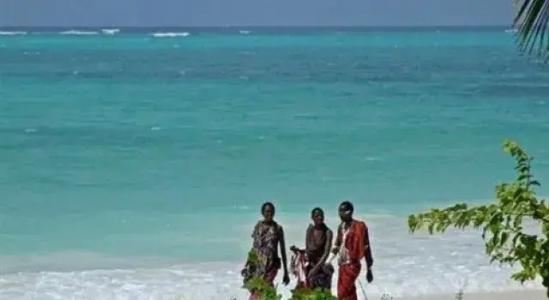 Next Paradise Boutique Resort - 29