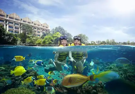 Resorts World Sentosa - Festive - 22