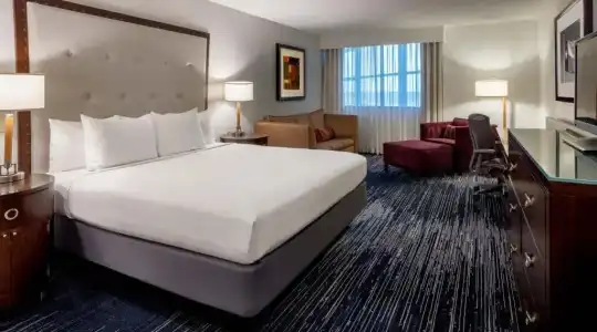 Sonesta Houston IAH Airport - 37