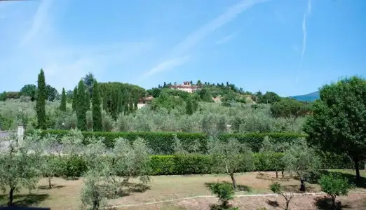 Villa Cappugi - 75