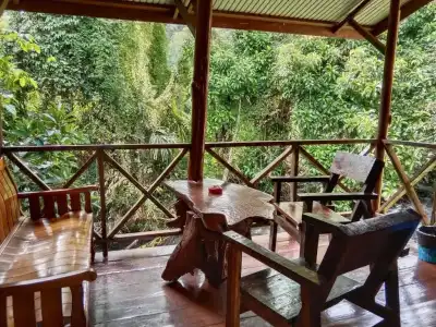 Tree Top River Huts - 100