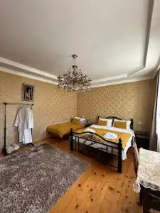 Elguja Qushashvili Guest house - 55