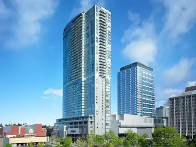 The Westin Bellevue - 52