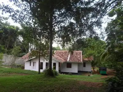 Chitra Ayurveda - 35
